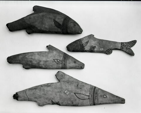 momie de poisson, image 2/2
