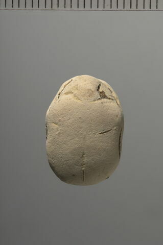 scarabée, image 2/2