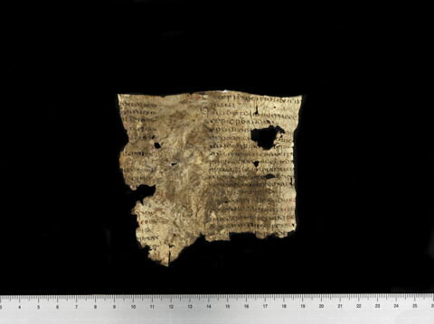 parchemin, image 4/6