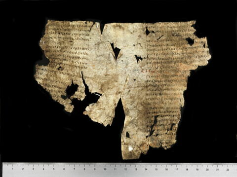 parchemin, image 3/6