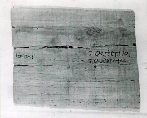 papyrus documentaire, image 2/2