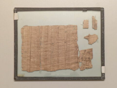 papyrus documentaire, image 2/2