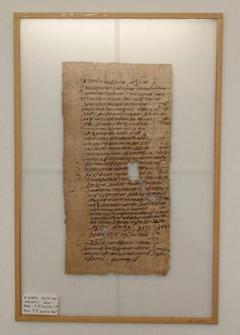 papyrus, image 2/2
