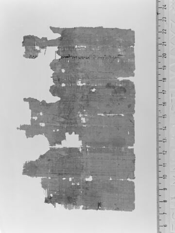 papyrus, image 2/2