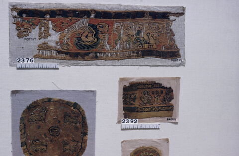 clavus ; fragment, image 3/3