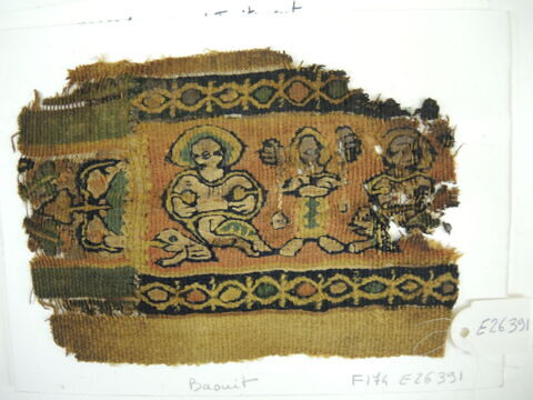 clavus ; fragment, image 2/3