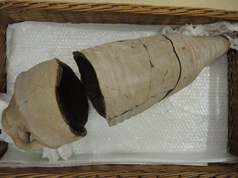 amphore, image 2/3