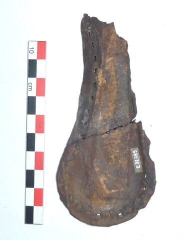 mule ; fragment, image 3/3