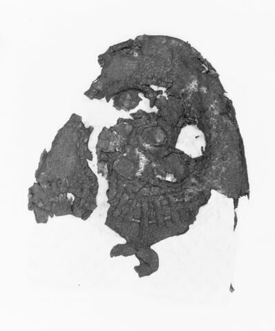 mule ; fragment, image 2/3