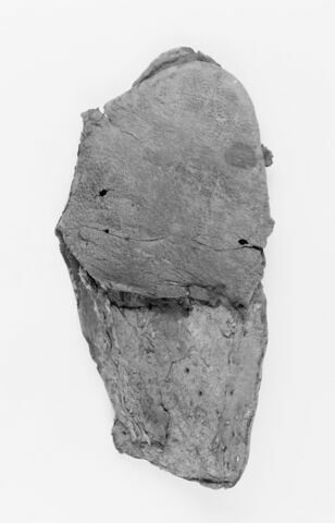 mule ; fragment, image 2/2