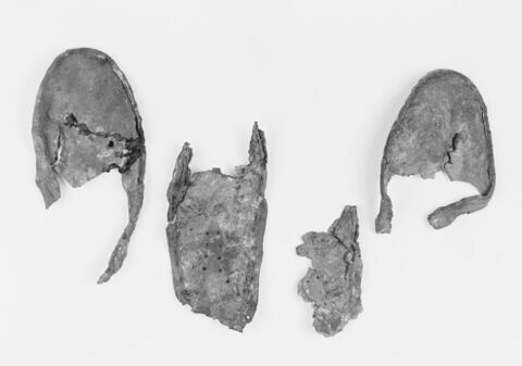 mule ; fragments ; fragments, image 2/2