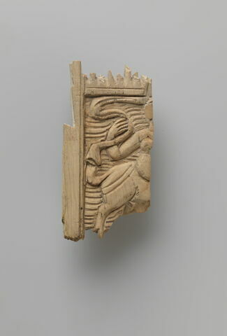 peigne double ; fragment, image 2/3