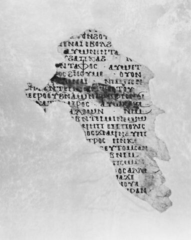 Codex AS, image 4/5