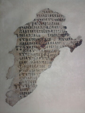 Codex AS, image 2/5
