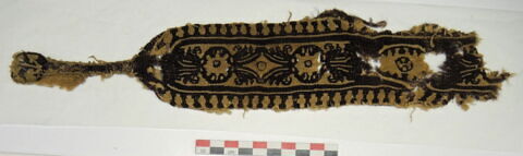 clavus ; fragment, image 2/3