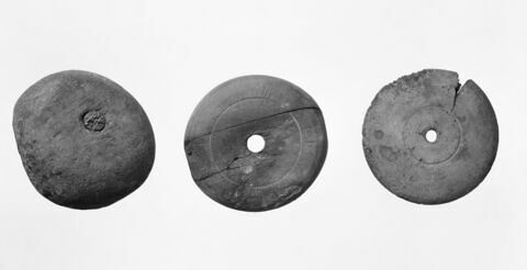 fusaïole ; fragment, image 2/2