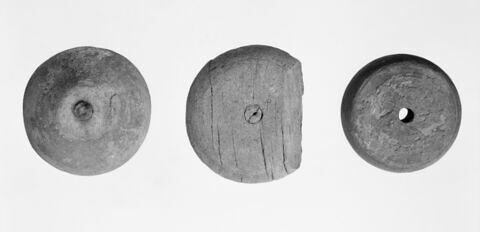 fusaïole, image 2/2