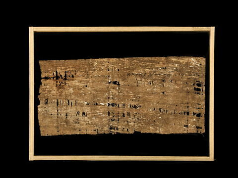 papyrus documentaire, image 2/2