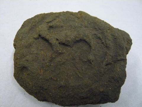 bouchon d'amphore, image 2/3