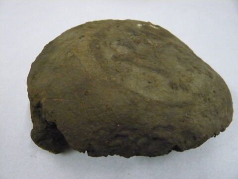 bouchon d'amphore, image 2/3