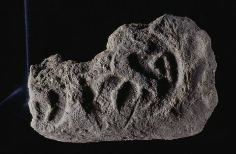 bouchon d'amphore, image 3/3