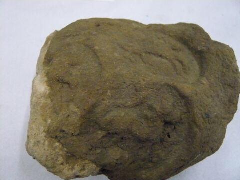 bouchon d'amphore, image 2/3