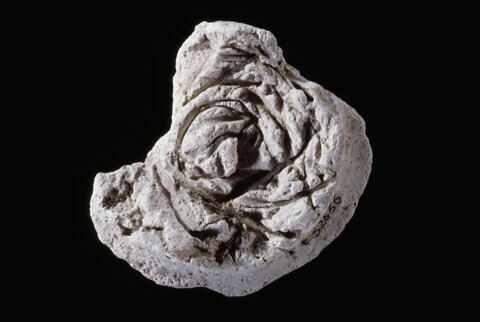 bouchon d'amphore, image 3/4