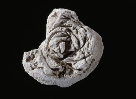 bouchon d'amphore, image 4/4