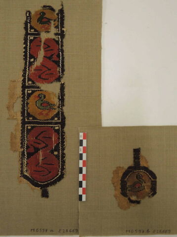 clavus ; fragment, image 2/2