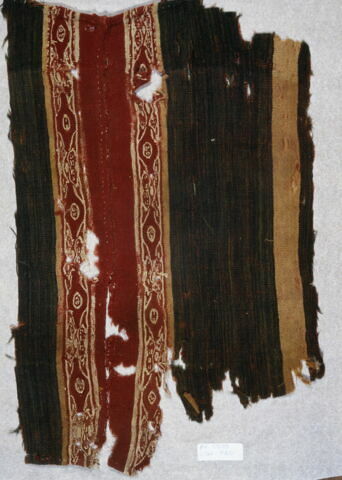 tunique ; fragment, image 2/2