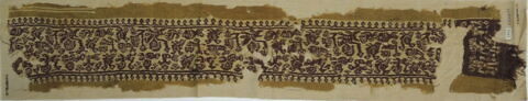 clavus ; fragment, image 2/3