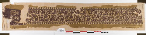 clavus ; fragment