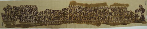 clavus ; fragment, image 2/3