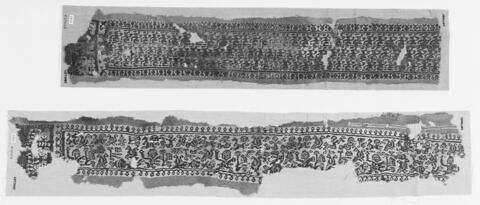 clavus ; fragment, image 3/3