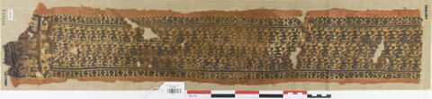 clavus ; fragment
