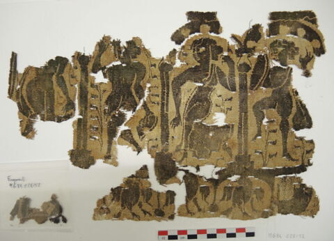 plastron de tunique ; fragment, image 2/2