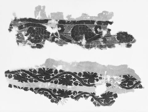 clavus ; fragment, image 3/3