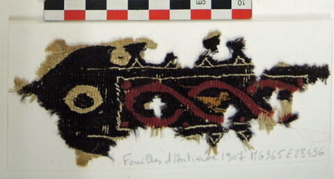 clavus ; fragment, image 3/4