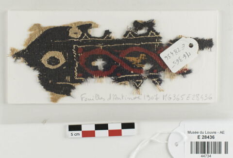 clavus ; fragment, image 2/4