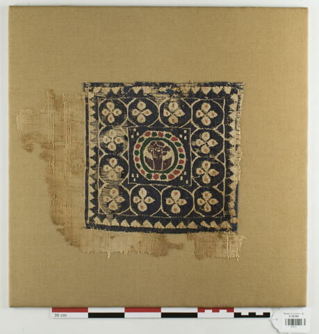 tabula, image 2/4