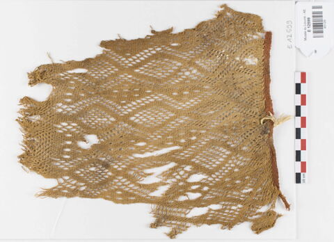 filet de tête ; fragment