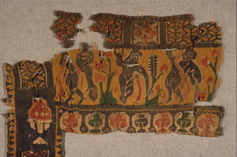 clavus, image 4/6