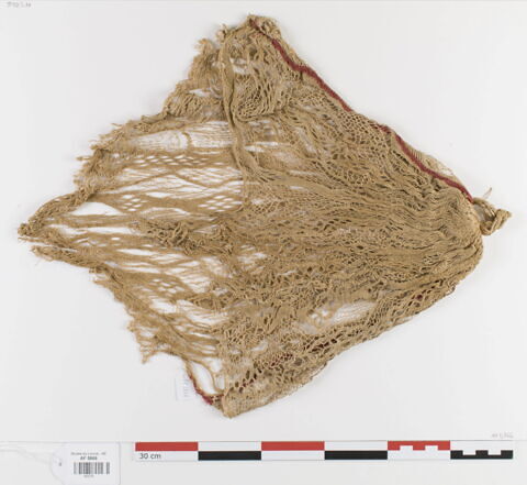filet de tête ; fragment