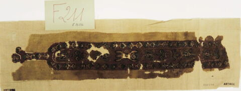 clavus ; fragments, image 2/3