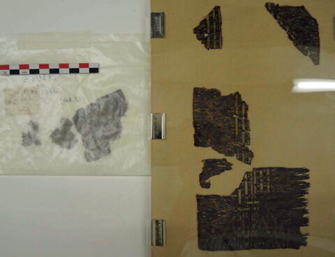 bande d'encolure ; fragments, image 2/3