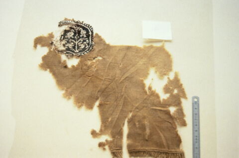 orbiculus ; fragment, image 3/3