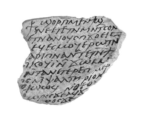 ostracon, image 7/7