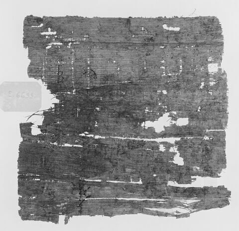papyrus documentaire, image 2/3
