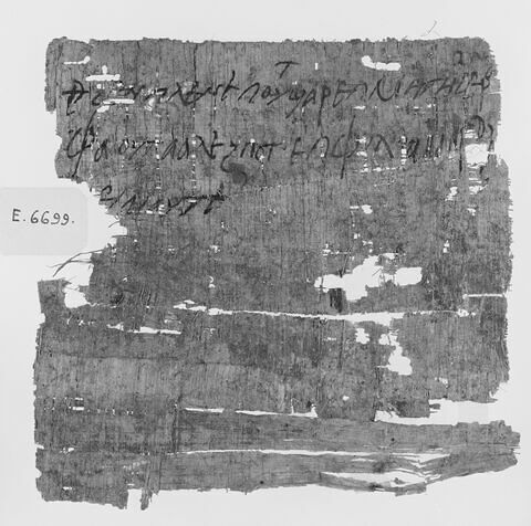 papyrus documentaire, image 3/3