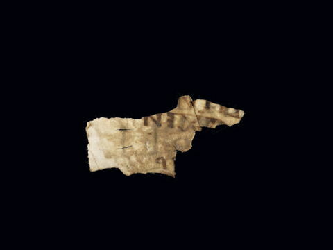feuillet de codex, image 2/2